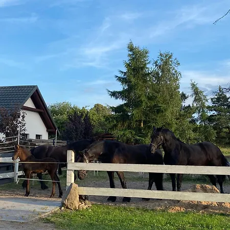 Omelia בית כפרי Człuchów