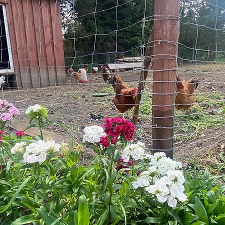 בית כפרי Omelia Człuchów