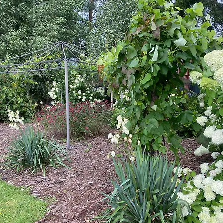 Omelia בית כפרי