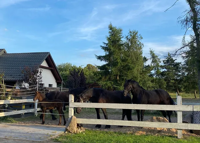 Omelia Hétvégi ház Człuchów