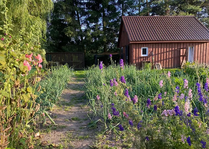 Hétvégi ház Omelia *