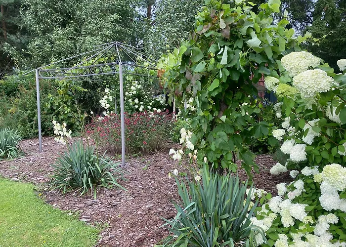 Omelia Hétvégi ház