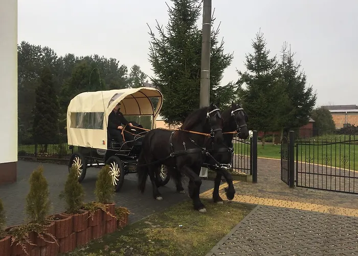 Omelia Hétvégi ház Człuchów